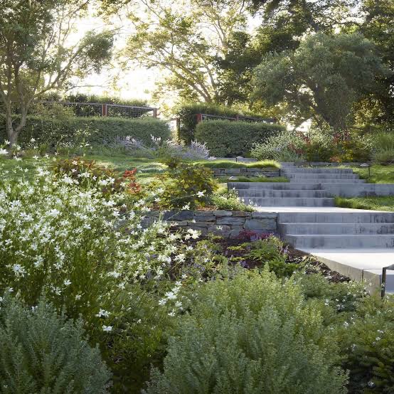 Stone garden steps winding through lush, flowering plants